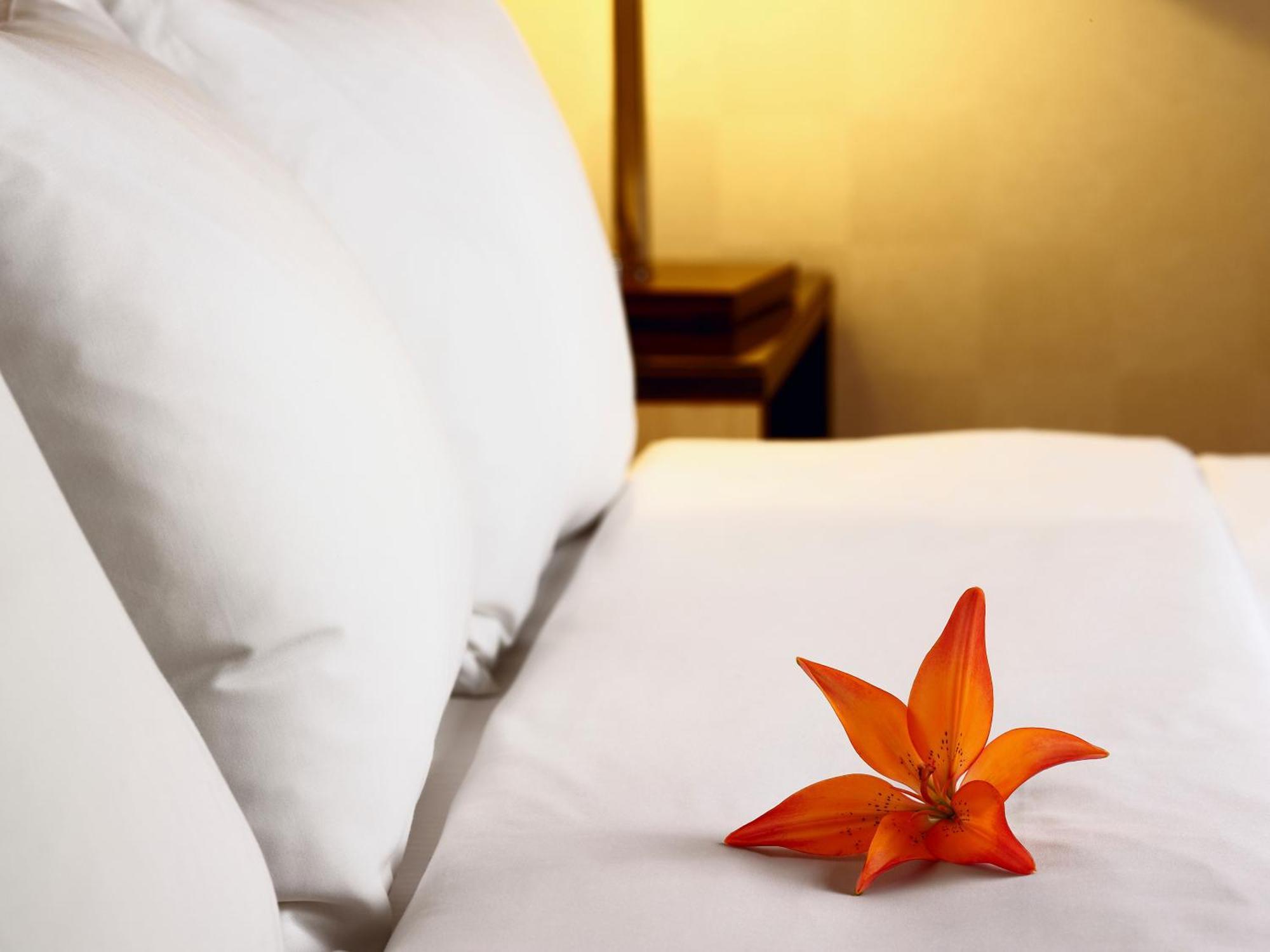 Hotel Acadia Québec Buitenkant foto